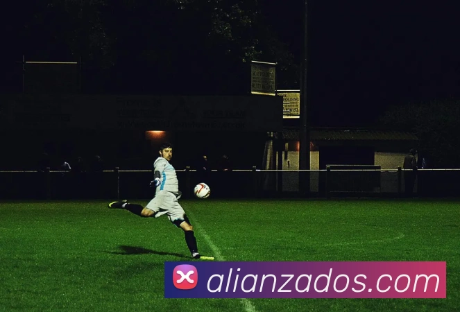 米兰(中国)milan·官方平台生态图